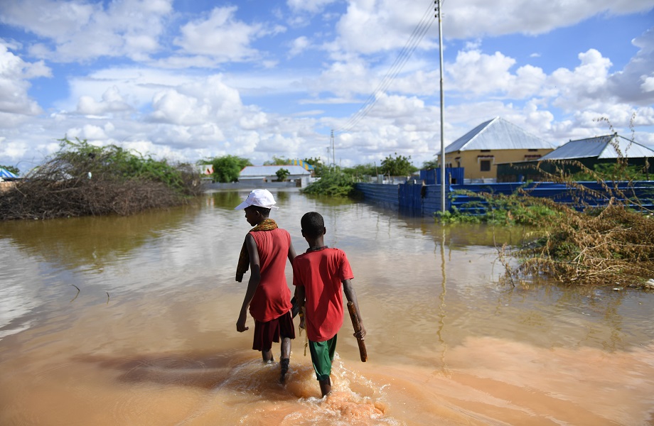 Praga de gafanhotos e fortes chuvas ameaçam segurança alimentar no leste da África