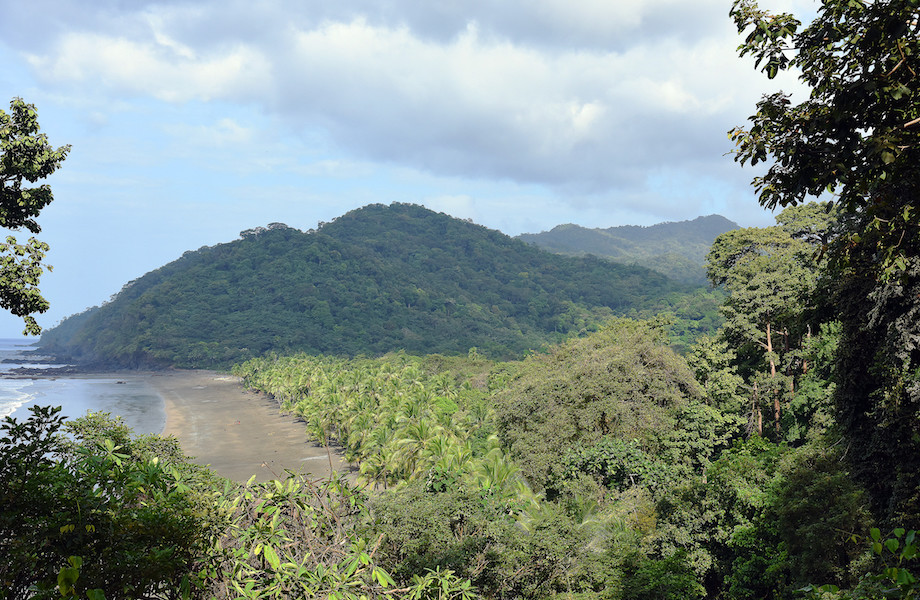 Panamá isola migrantes em campo na selva para conter surto de Covid-19