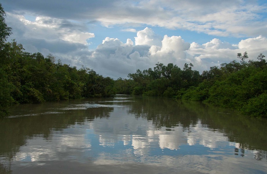 Usinas elétricas ameaçam maior mangue do mundo, em Bangladesh