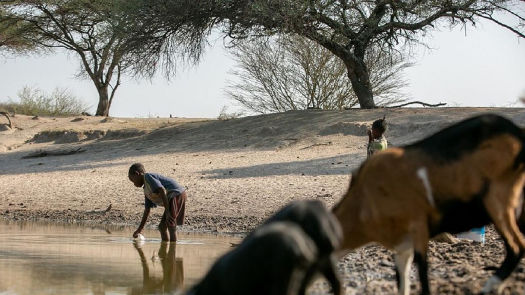 Sul da África enfrenta ameaça de fome com subida global de emissões de CO2