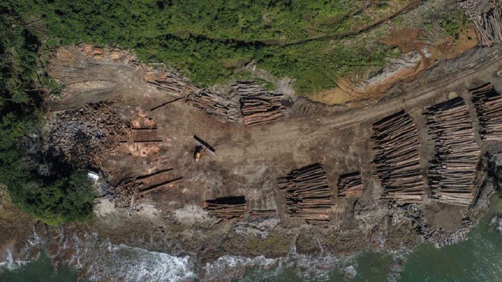 Com histórico de desmatamento, Ilhas Salomão regram exploração com China