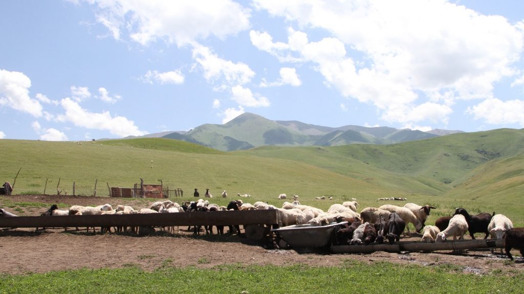 Cazaquistão aprova lei que proíbe venda e arrendamento de terras agrícolas