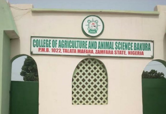 Três pessoas morrem e outras 20 são sequestradas em faculdade na Nigéria